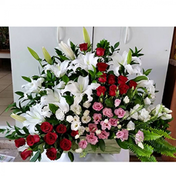 Kalite Vip Flowers Resim 1